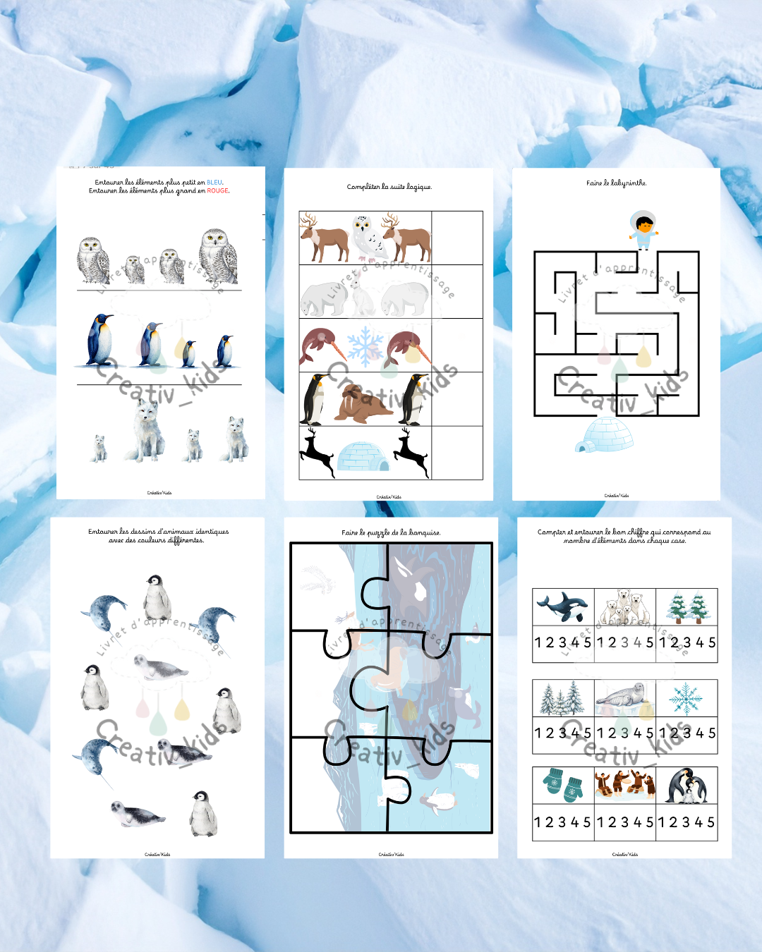 My activity booklet: ICE FLOE