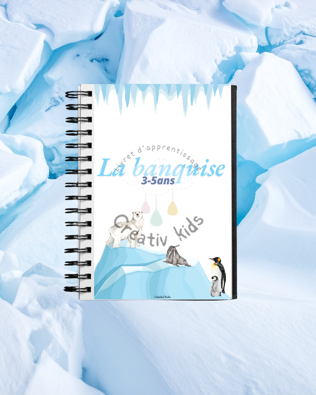 My activity booklet: ICE FLOE